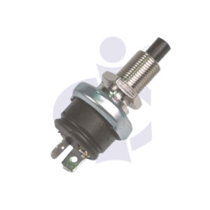 BREAK LIGHT SWTCH (CI-BZ 4813)