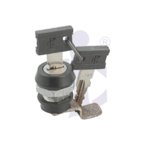 GLOVE BOX LOCK WITH KEYS (CI-PA 7429)