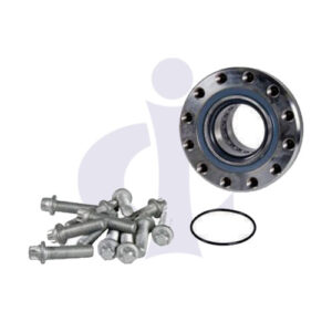 WHEEL BEARING SETS (WITH 12 BOLTS) (CI-BZ 17002)